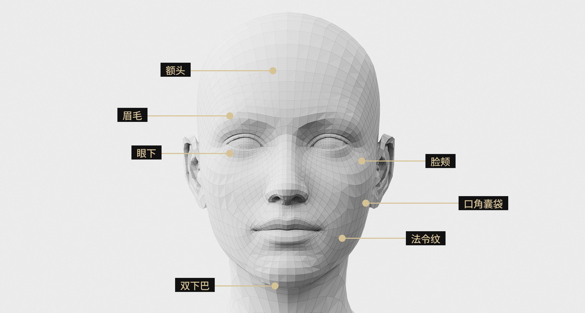 Oligio 시술 부위 비교